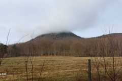 WhatsApp-Image-2026-03-12-at-10.41.06