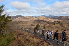 WhatsApp-Image-2026-03-12-at-12.46.01