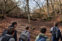 WhatsApp-Image-2026-03-12-at-12.46.29-1