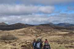 WhatsApp-Image-2026-03-12-at-12.50.38