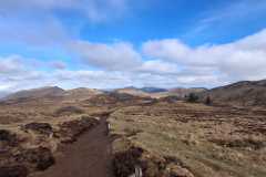 WhatsApp-Image-2026-03-12-at-12.50.42