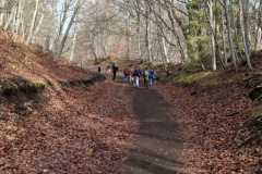 WhatsApp-Image-2026-03-12-at-12.50.44