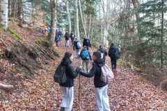 WhatsApp-Image-2026-03-12-at-07.33.20-1