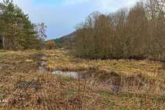 WhatsApp-Image-2026-03-12-at-07.33.20-2