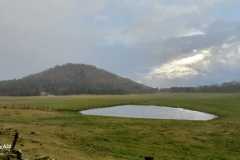 WhatsApp-Image-2026-03-12-at-07.33.20-3