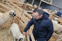 IMG-20240222-WA0016