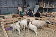 IMG-20240222-WA0017