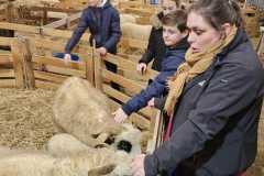IMG-20240222-WA0019