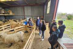 IMG-20240222-WA0025
