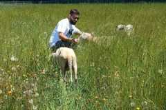 WhatsApp-Image-2023-06-08-a-11.06.09