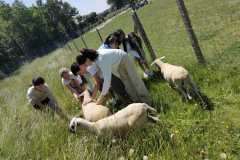 WhatsApp-Image-2023-06-08-a-11.06.19