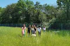 WhatsApp-Image-2023-06-08-a-11.06.24