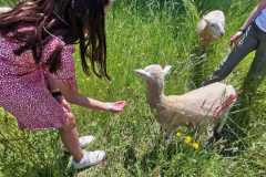 WhatsApp-Image-2023-06-08-a-11.06.25