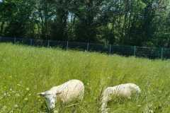 WhatsApp-Image-2023-06-08-a-11.06.46j