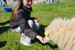 WhatsApp-Image-2025-04-02-a-10.48.18_366cabd2