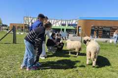 WhatsApp-Image-2025-04-02-a-10.48.18_d918b931