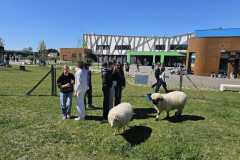 WhatsApp-Image-2025-04-02-a-10.48.19_6390ba97