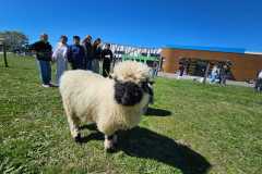 WhatsApp-Image-2025-04-02-a-10.48.19_a5a5b4a7