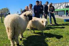 WhatsApp-Image-2025-04-02-a-10.48.19_bb269e0e