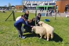 WhatsApp-Image-2025-04-02-a-10.48.19_d1c66a27