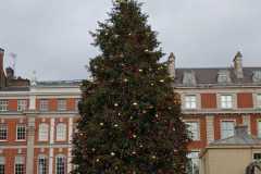 WhatsApp-Image-2025-12-15-at-17.22.12